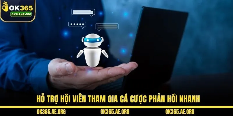 OK365 42 Hỗ trợ hội viên tham gia cá cược phản hồi nhanh